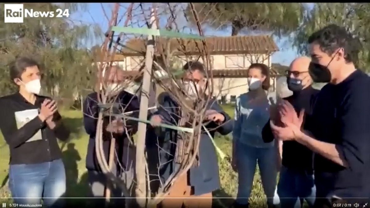 In un servizio molto bello di <a href="/RaiNews/">RaiNews</a> , @GassmanGassmann racconta con entusiasmo di come sia nato il nostro progetto dei #greenheroes (da un incontro qui su @Twitter !) e di come lo abbia legato profondamente alla sua storia personale nel libro #ioeigreenheroes 
💚🥳<a href="/edizpiemme/">Edizioni Piemme</a>