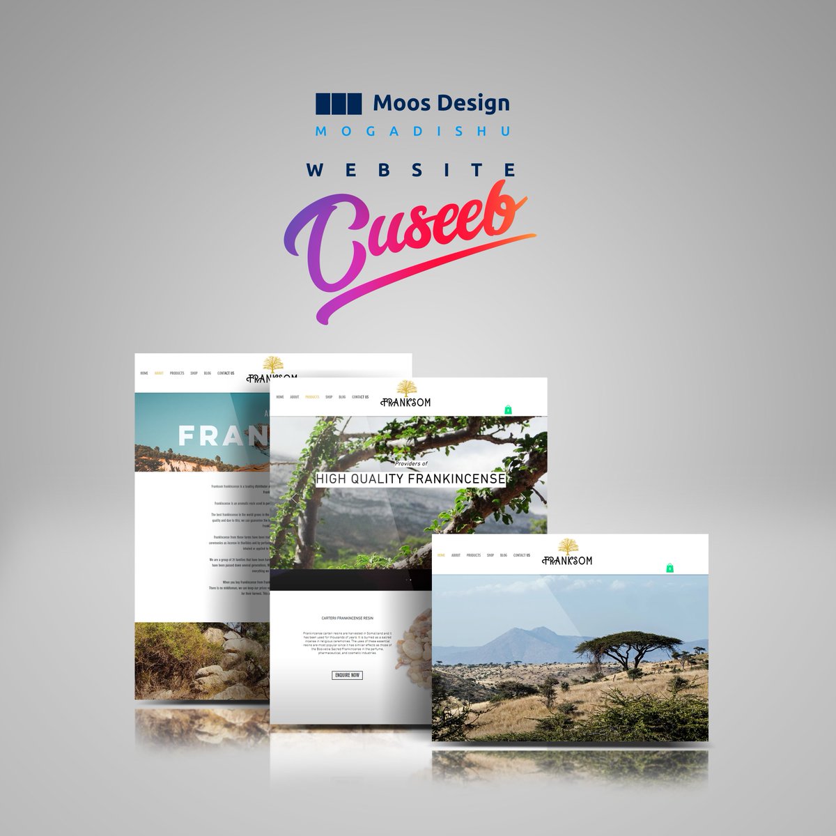 moosdesignso's tweet photo. Website Design, Mogadishu, Somalia.
Moos Design - Creative Design Agency.
https://t.co/toNYmgtMn5 https://t.co/cHNGGfZzcY