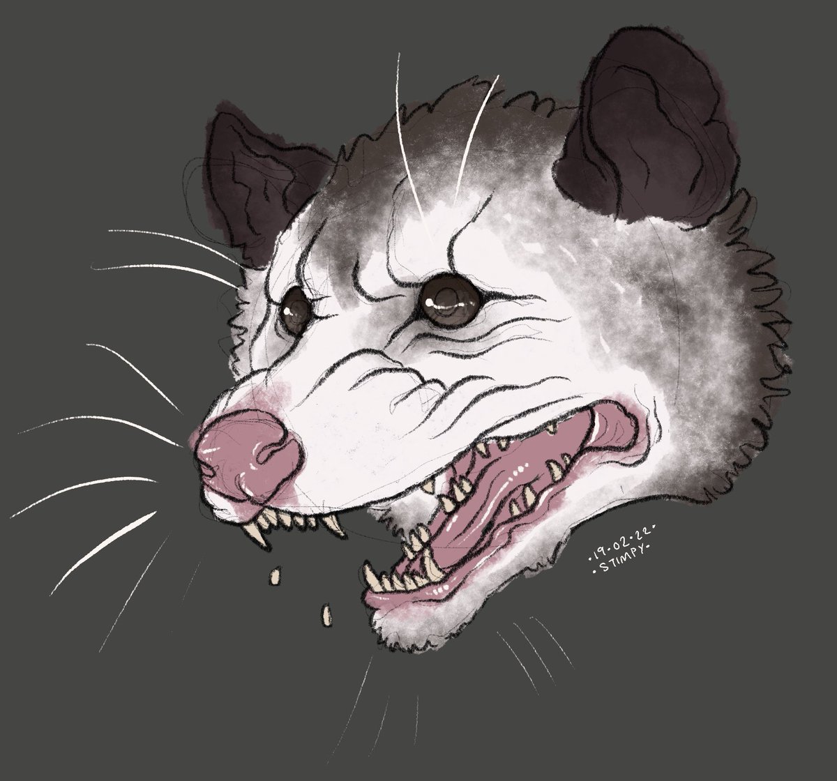 stimpydraws's tweet photo. A self portrait ~

#opossum #digitalart #ipad #procreate https://t.co/sUvVd3JlfW