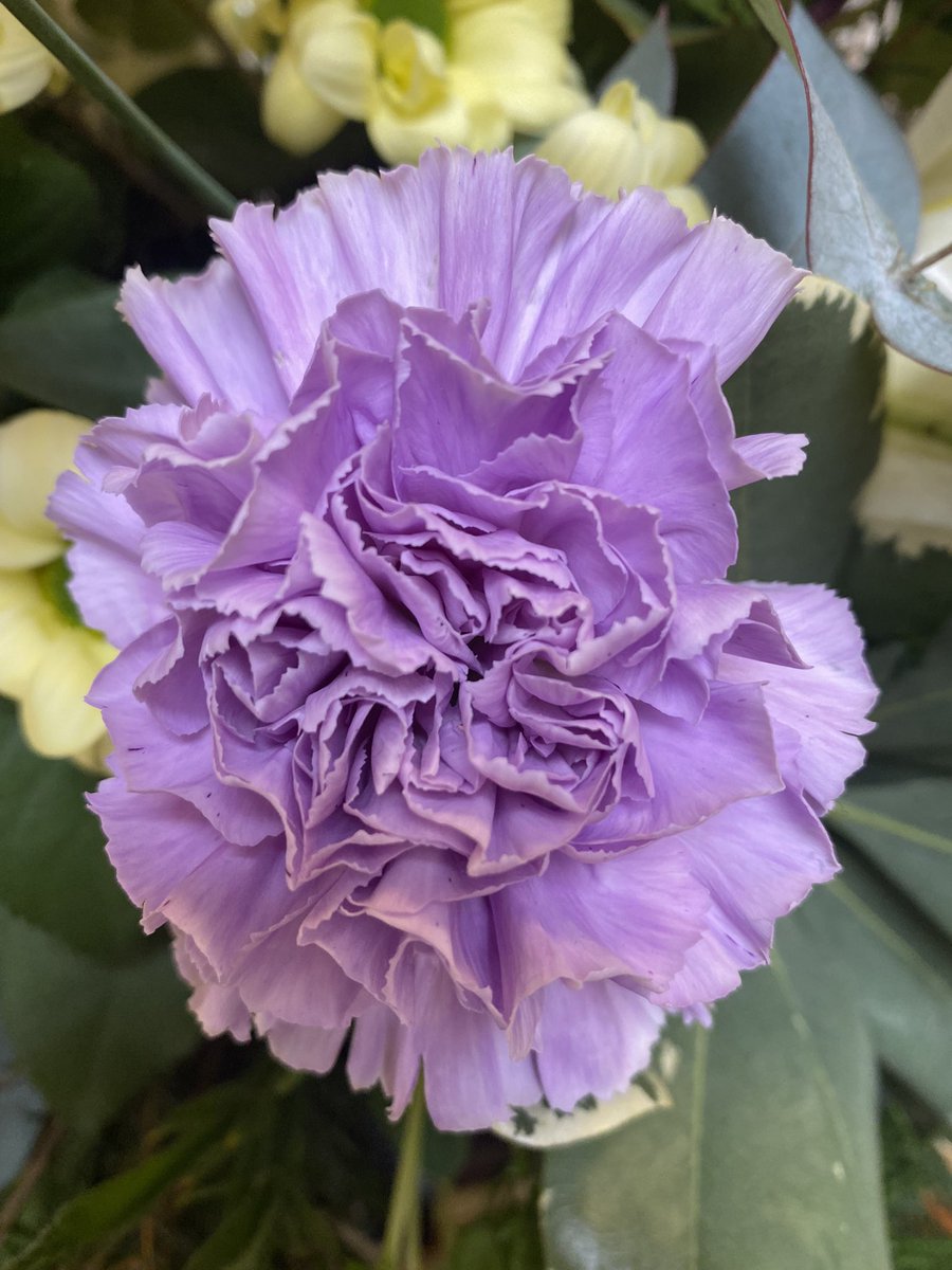 Dr Ros Taylor 💜 tweet media