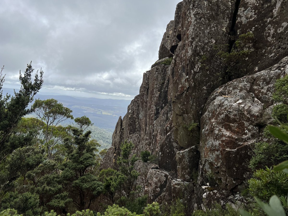 ocelotte's tweet photo. So today’s early start meant time to climb another mountain, #MtAlbert and then a quick visit to #MathinnaFalls  We climbed #MtVictoria (in the background) last year. https://t.co/dnjYEKhiyj