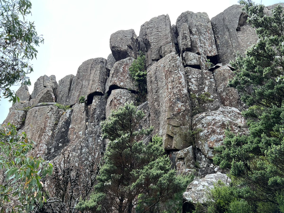 ocelotte's tweet photo. So today’s early start meant time to climb another mountain, #MtAlbert and then a quick visit to #MathinnaFalls  We climbed #MtVictoria (in the background) last year. https://t.co/dnjYEKhiyj