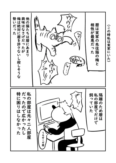 ② 