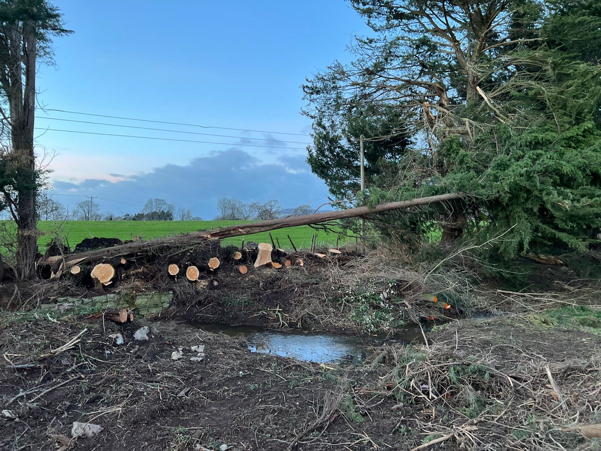 I wasn’t joking about my trees falling down #StormEunice and #StormArwen