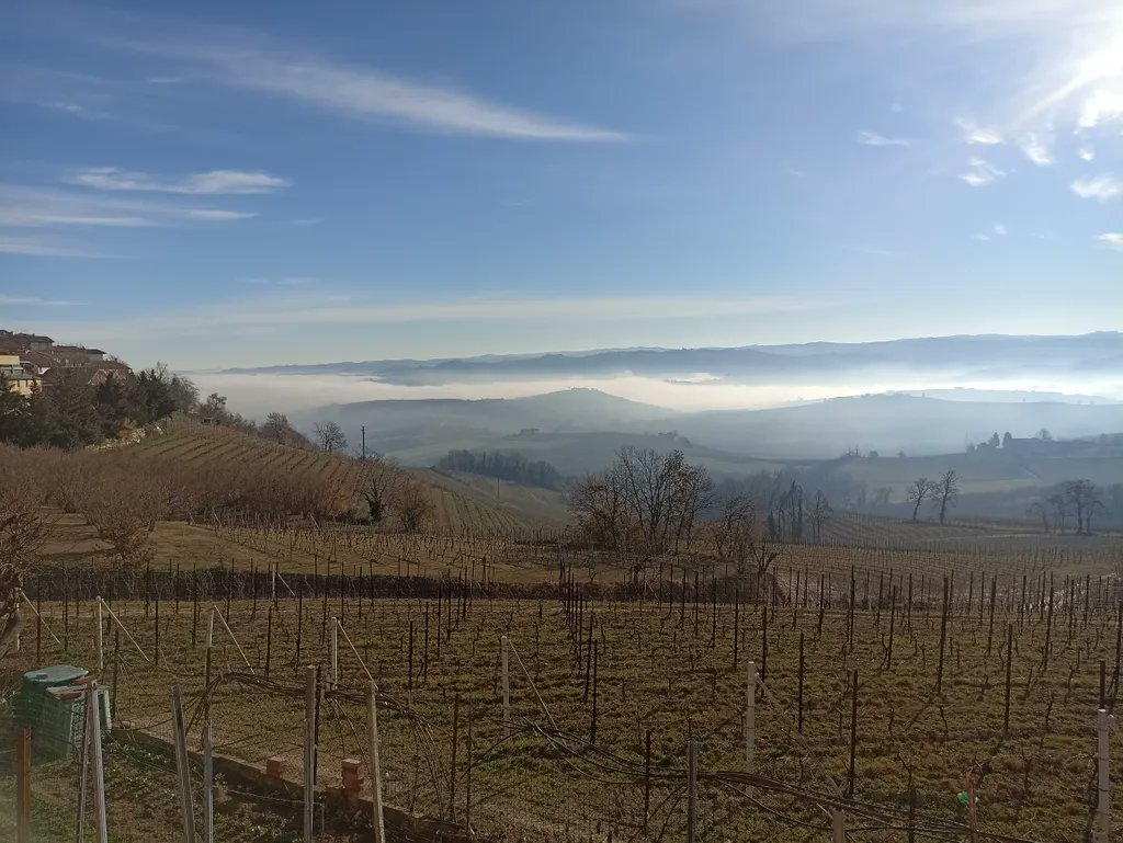 Aspettando la primavera un saluto da Verduno!#AlbaIn Langhe #Langhe