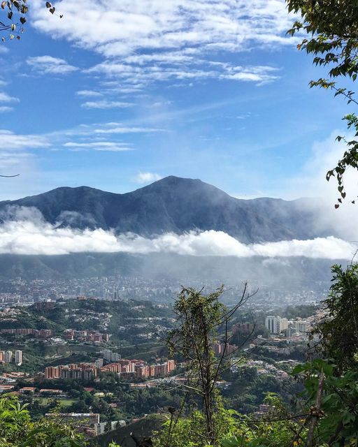 ShavelaHermosa's tweet photo. Caracas siempre Caracas: así despiertan los caraqueños, bajo un cielo infinitamente azul, friolentos y enamorados de la ciudad que nos cautiva todos los dias.
¡Amala y Cuídala!
#CaracasEcológica 
#SupraCuidaCaracas 
#LuchaContraLaCovid19 https://t.co/7NuAk2bJmM