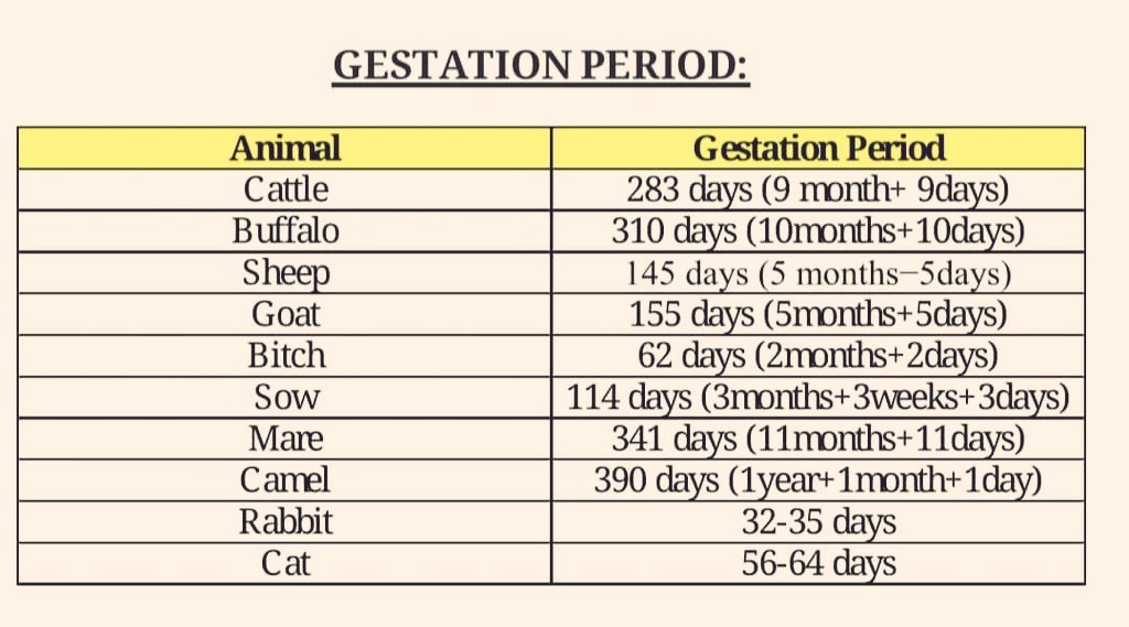 gestation period of different animals