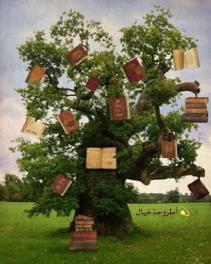 ⚘
نقلب المكان
ونقرأ من كل صنف إنسان
نمرعلى المشاعر
نتأمل لوحة
ونبحر في صورة
نتأثر بشعر ونضحك لنوادر
ونفرح لنبض أموره مسرورة
نزور دون تذاكر في لحظة بلدان
نتشارك قهوة وأريج زهر ونزور معالم
نرافق التاريخ ونتلمس الأثار 
ونحدد على الخرائط مواقع البلدان
عالم متكامل عالم #الكتب.
💫شيخة