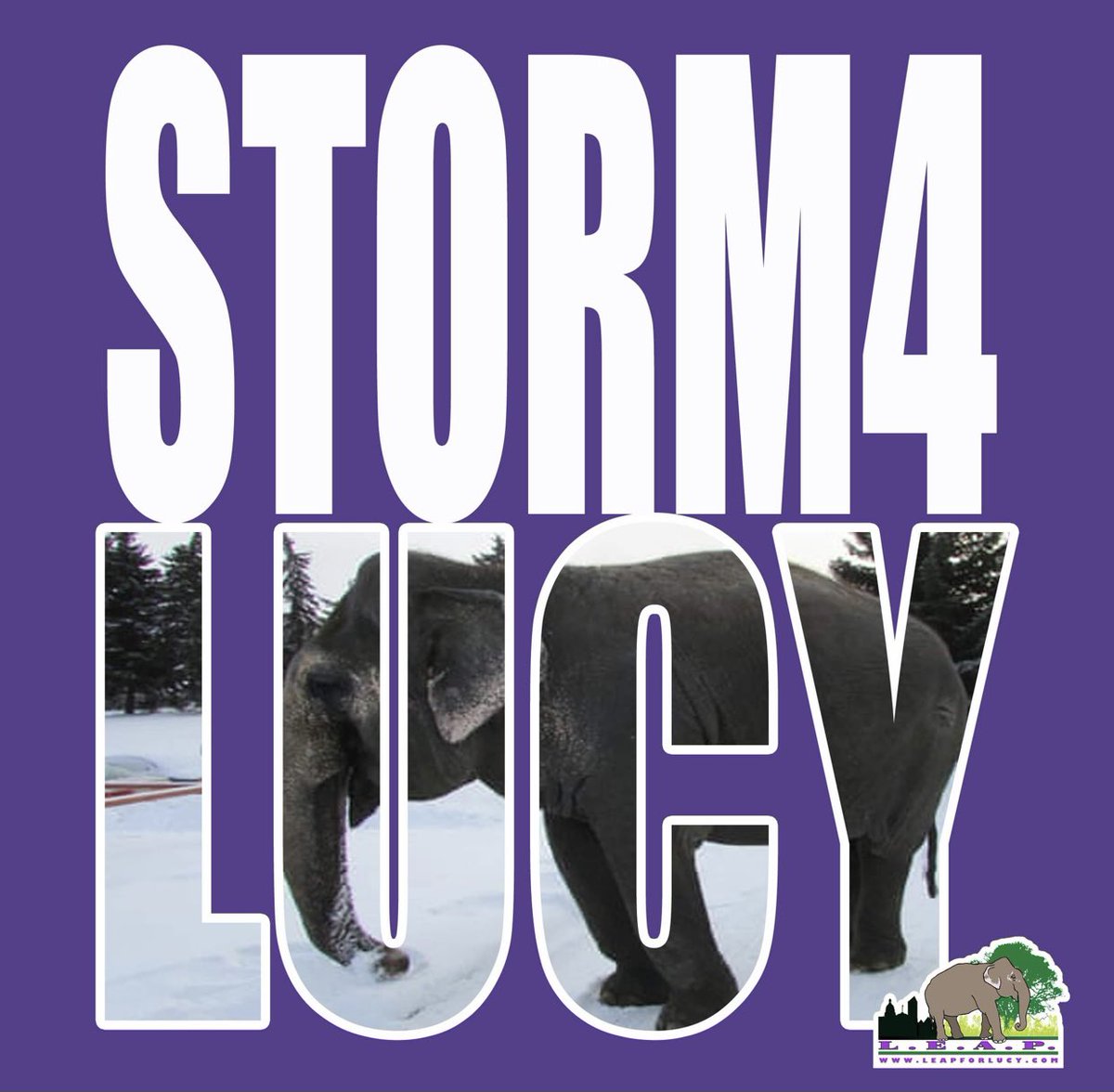 LEAPyeg's tweet photo. #Storm4Lucy💜⚡️ is away if you feel you can’t help #Lucy you really really can, from no matter where you are in the 🌍
Just hit the Tweet sheet link below and tweetstorm away to be #Lucys voice. Let’s turn the 19/20th of February Lucy’s voice days. 💜 🙏💜
https://t.co/dP1xxeAzhp https://t.co/rZApXSBXnj