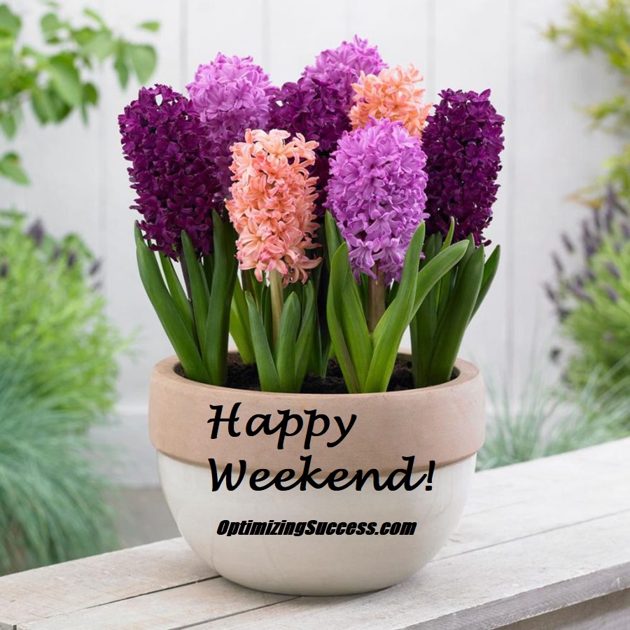Enjoy Your Weekend!

#OptimizingSuccess #BusinessCoaching #CustomerCare #ClientCare #Sales #LiveChatCoaching #BusinessCoaching #BDC #GME #ThanksCoach #SalesTraining #LiveChatTraining
optimizingsuccess.com/sales-training