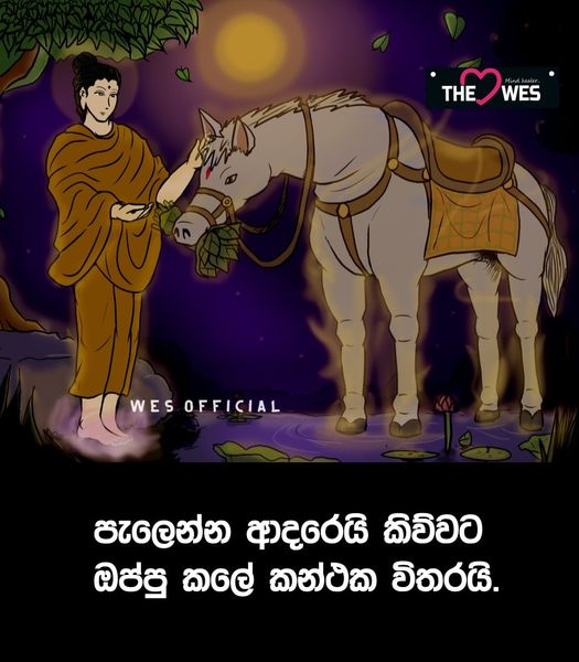 IshanAbeyOnX's tweet photo. #Kanthaka https://t.co/WS7WhZ7aG1