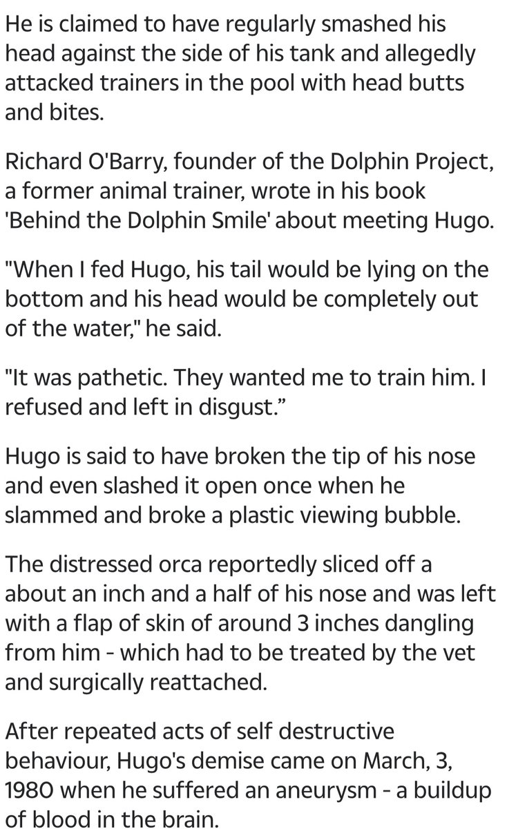 Sorry,Reporting as I Get Info.The Story Of SEAQUARIUM IS A TRAGEDY,BUT THEY HAVE NOT BEEN STOPPED.  
IS THIS ABOUT 💰💰💰⁉️
THIS FACILITY MUST BE 
SHUT DOWN