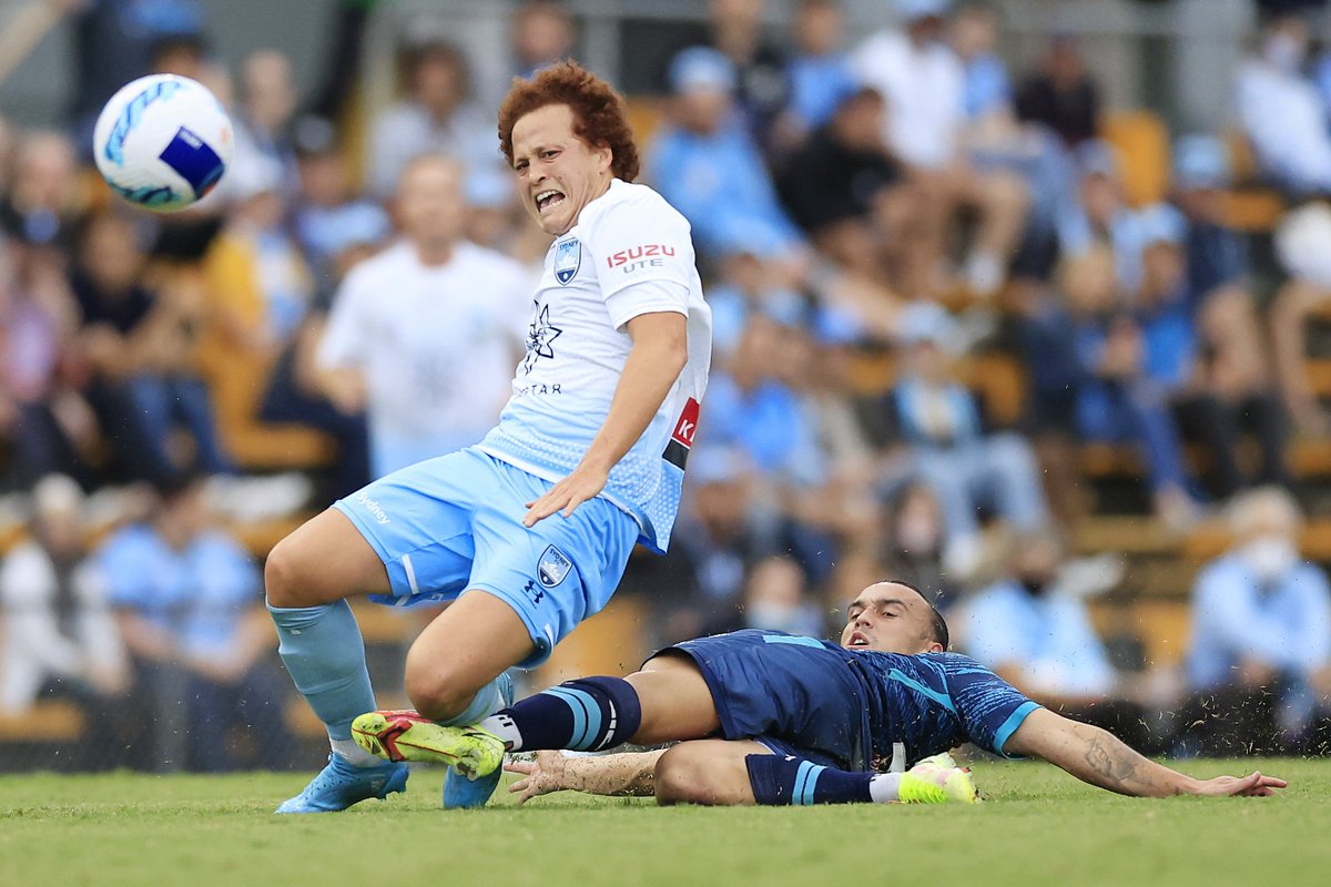 Phillip Rollo tweet media