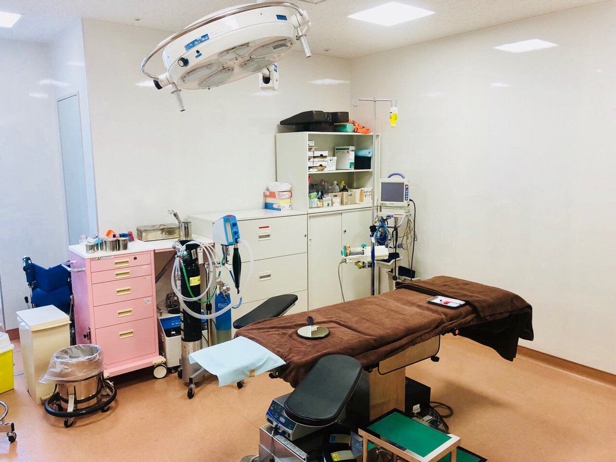 Penny22h's tweet photo. Today, I accompanied my best friend in Ginza, Shinagawa, and had a 6-pin facial medical filling. It's really pretty.😌🤔 https://t.co/ZYjQOKbhso