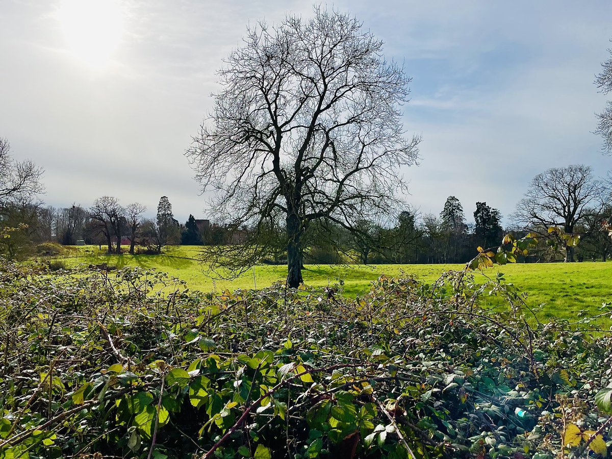tessofthevale's tweet photo. Wander through the forest and farms of ancient east Dorset. Unless scuppered by the storm!
#Dorset #adventure #history #gaunts https://t.co/IVXd5nzxiF
