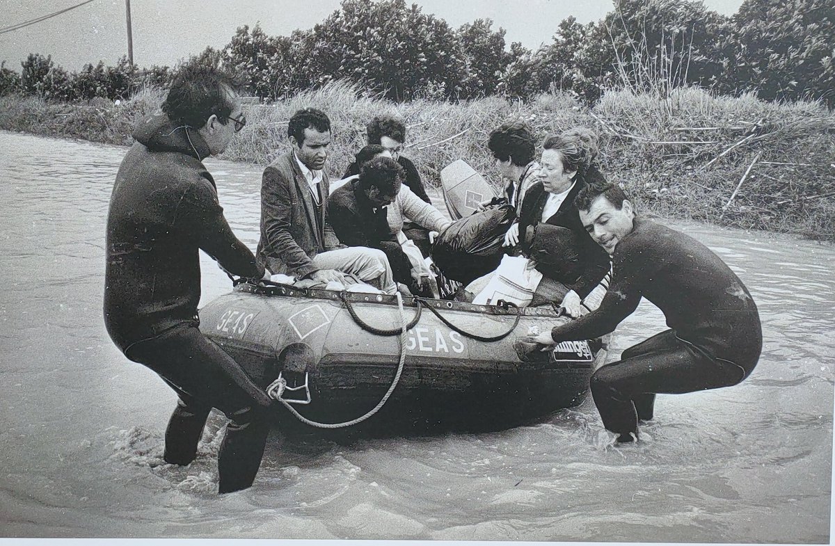 Fernando Bustamante tweet media