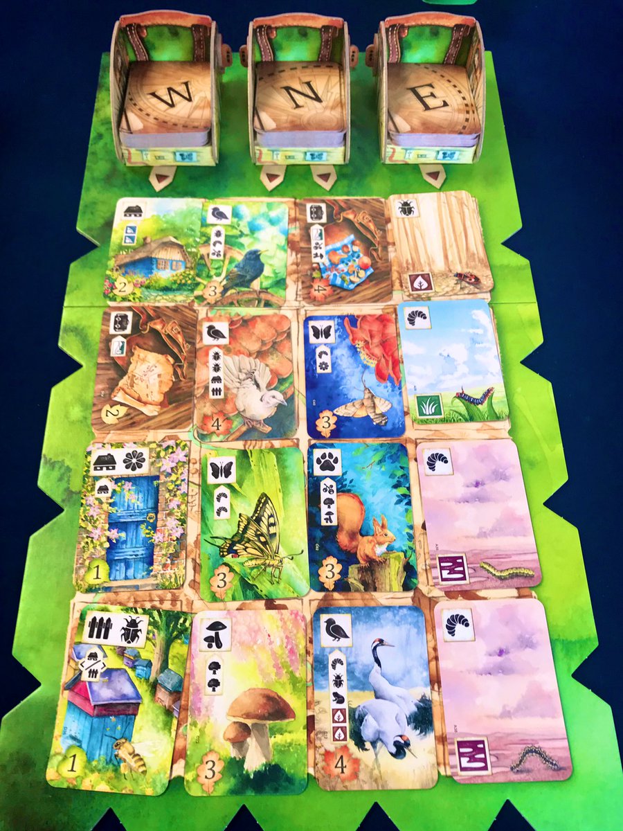 SamgamesGamyi's tweet photo. #Pradera, muchas decisiones y mucha estrategia. La mecánica de #Quadropolis con un plus y un “Meadow” Building con un arte maravilloso. https://t.co/bwXAdrinZc