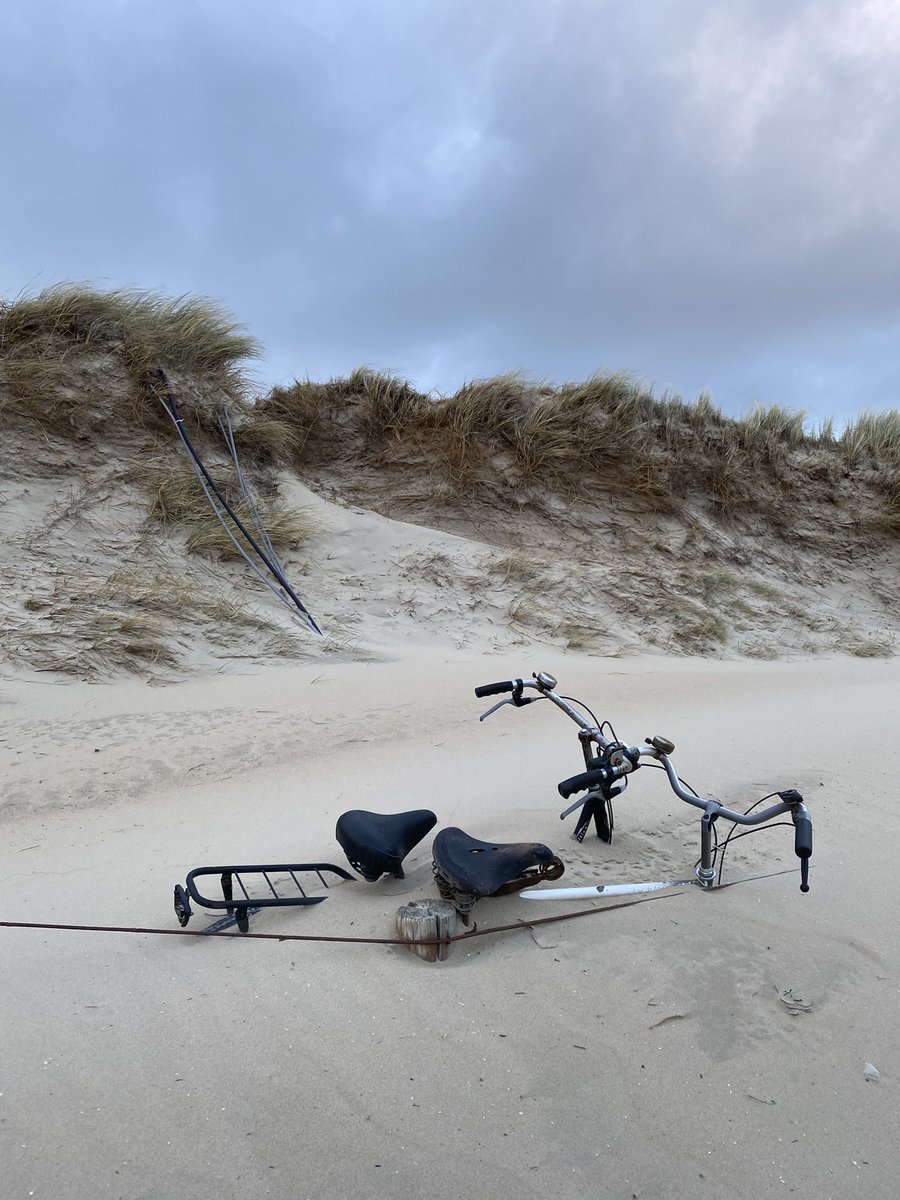 Roel Pauw tweet media