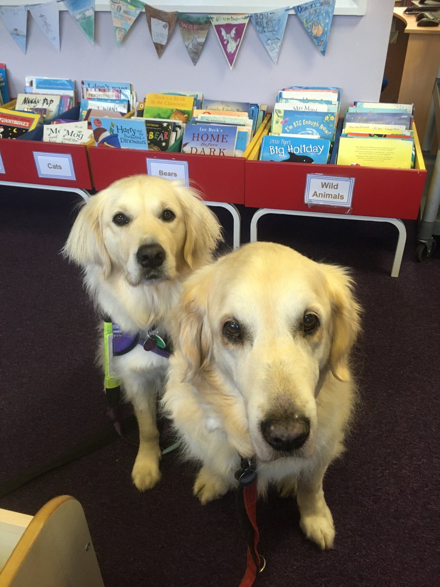 Wendy Hilling and Canine Partner Carmen tweet media