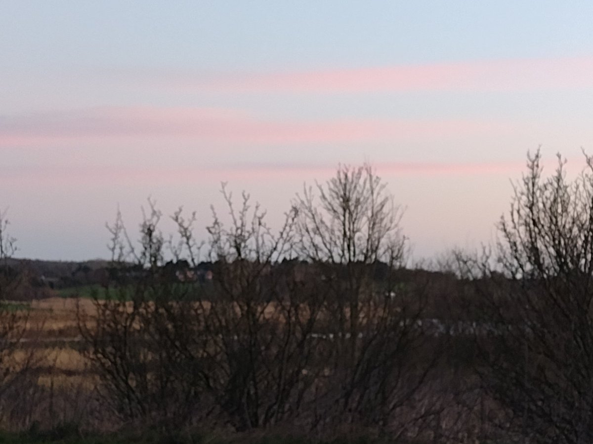 Nikki Butcher tweet media