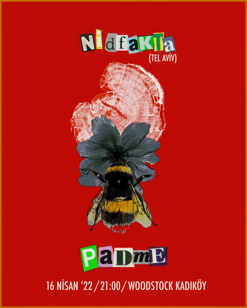 padmeband's tweet photo. İSTANBUL, ANKARA VE İZMİR'DE AKUSTİK OLMAYAN 3 KONSER!!!! HEM DE NIDFAKTA İLE?????? NIDFAKTA GELİYO!!!! OZAN VE ORHİ DE GELİYO OLEYYYYY 

afişler sırasıyla: @anxiety2539 / @feyyazyigit / @riggiest1233 https://t.co/ps412k6Dbr