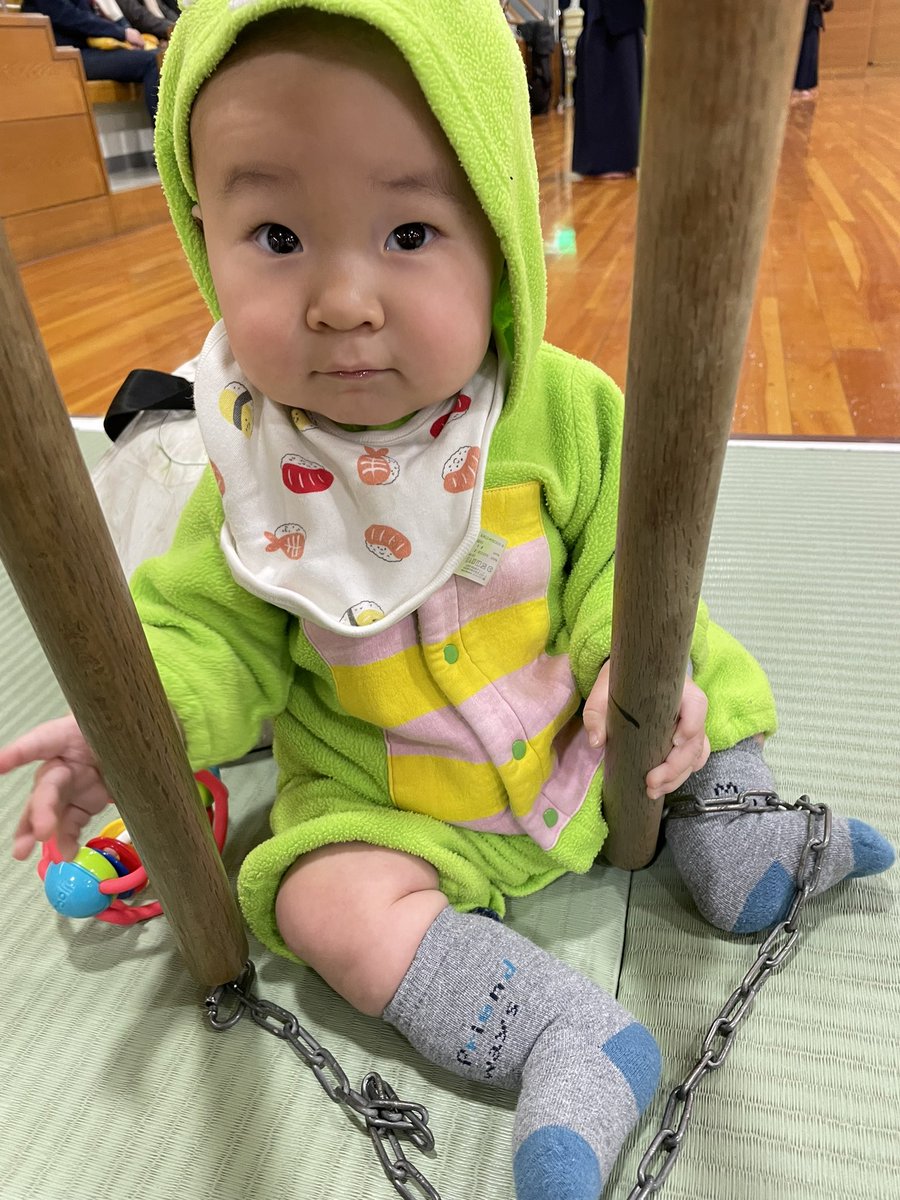 dk_ssd's tweet photo. He grows well. https://t.co/KtUkReF6Yg
