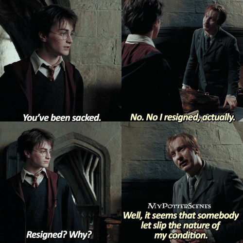 Harry Potter World tweet media