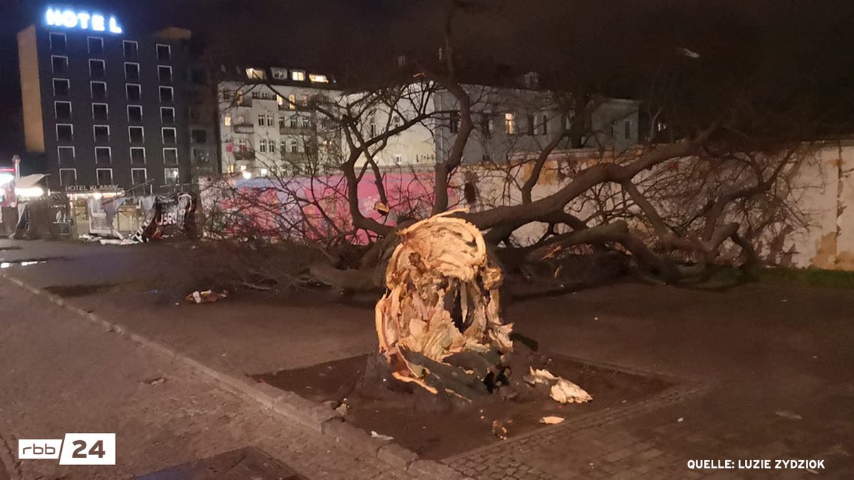rbb24's tweet photo. In  #Friedrichshain ist der Baum an der Warschauer Straße umgekracht. Für die Kollegin vom @TspBerlin war es "Der härteste Baum von #Berlin". Für uns auch 💔 https://t.co/BHoJRwxmfv