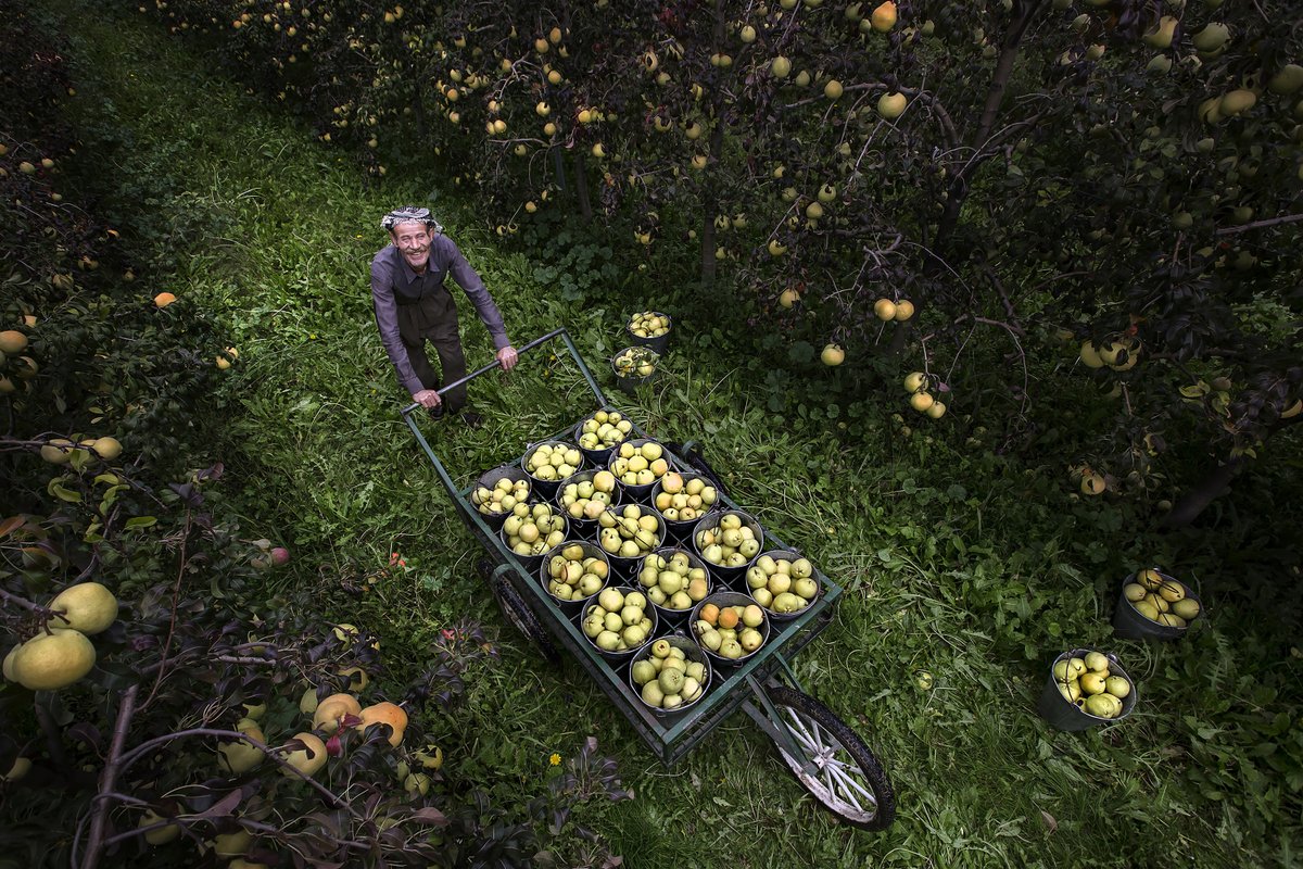 aygulharmanci's tweet photo. Gm #NFTCommunity fam.
Wish you new hopes for a new weekend. I would be grateful you support my new photo on @withFND 
#nftphotography #NFTs 
I just listed “A Wise Worker ” for sale on @withFND! 🌐

https://t.co/mvfpHdgnQJ https://t.co/DMnKmoAyQC