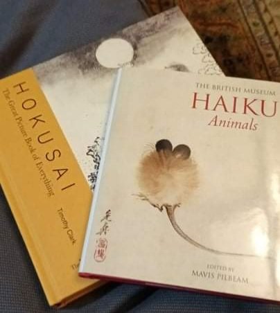 _Jayne_Buchanan's tweet photo. Windy birthday weekend but I feel curling up in front of the fire with the books I've been given is allowed, if not essential. https://t.co/WdW6A2lQ1W