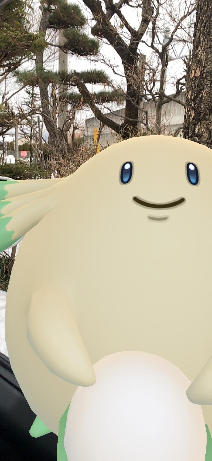 紀子 Twitterren ポケモンgo たった今 お供ポケモン の色違いのピンプクちゃんから育てた子が 念願の色違いのラッキーちゃんになりました このコロナ禍で お供にして15km歩いてラッキーに進化させる はかなりきつかった 色違いのラッキーちゃん 初get