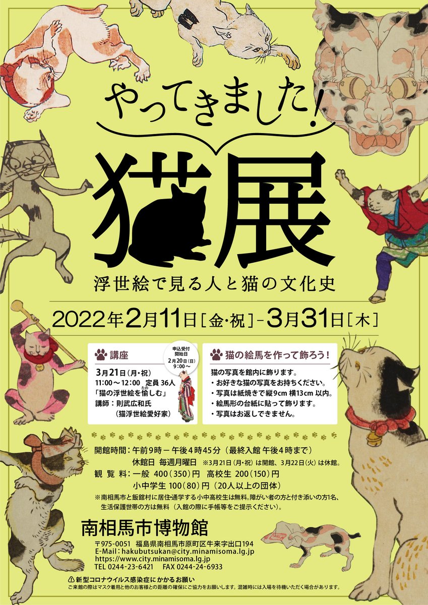 南様猫三う