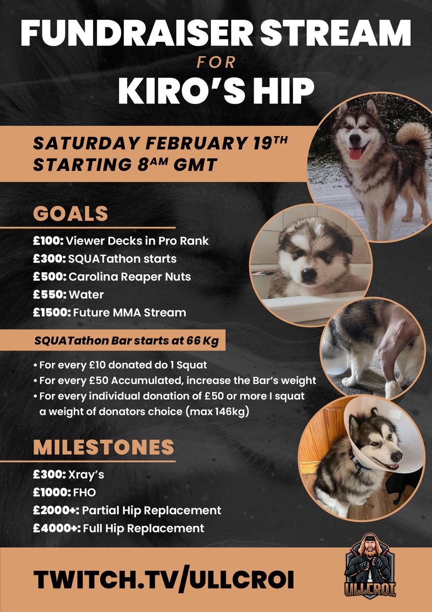 Going live now for my fundraiser stream, raising donations for my puppy Kiro's hip replacement surgery. 
With a lot of Gwent and squats ahead, it's sure going to be an amazing one! 💪⚡️ Any support is truly appreciated!
twitch.tv/ullcroi
<a href="/TeamKreve/">Team Kreve</a>  <a href="/PlayGwent/">GWENT: The Witcher Card Game</a>