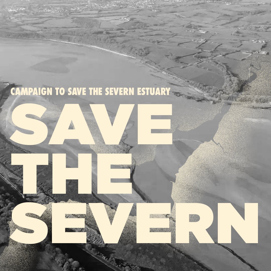 £26,985 pledged so far!
Can you get us to £30,000? 
 With your help, our court action *will* stop @EDFenergy dumping contaminants in our precious Severn Estuary.
Please help with an RT.
#savethesevern  #marineconservation
crowdjustice.com/case/save-the-…