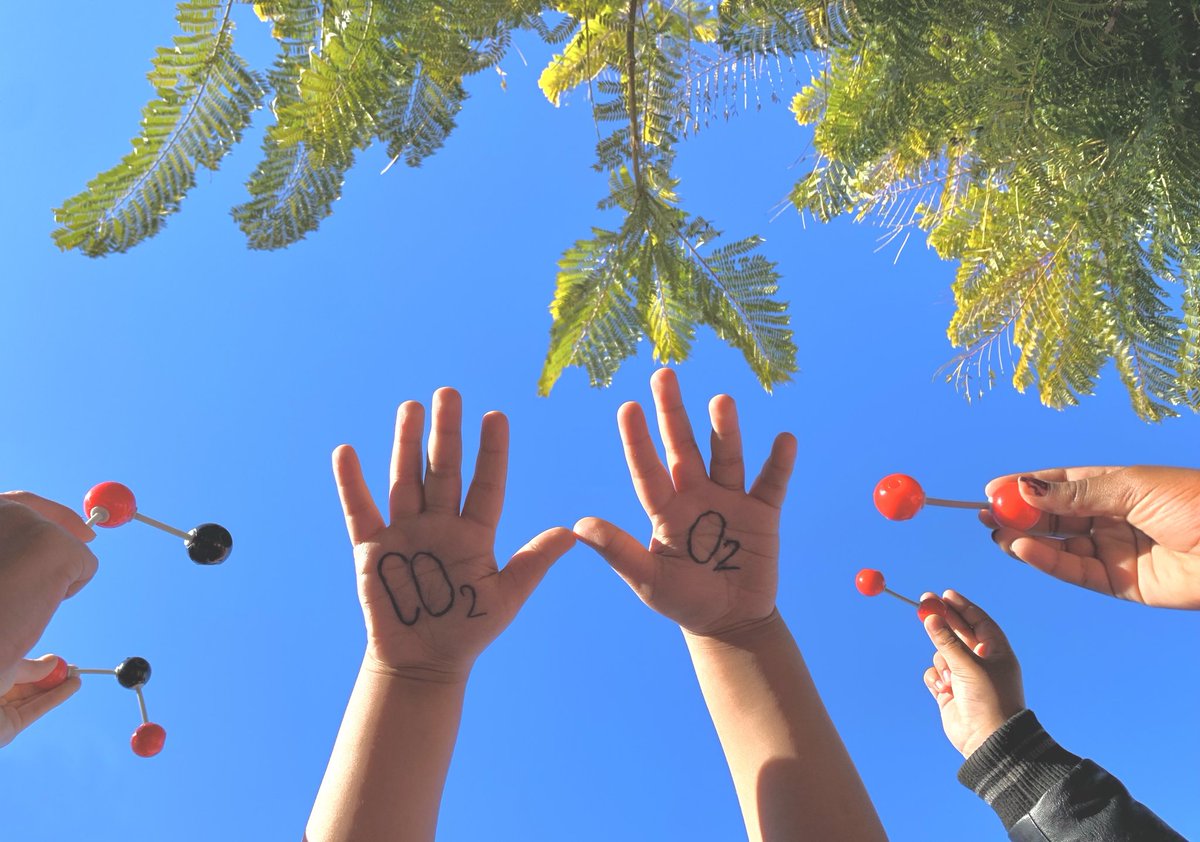 Sabeu q al nostre barri els gasos produïts x cotxes, fums de les llars, etc... alteren la composició de l'aire que respirem i  provoquen un risc per a la salut de les persones i el medi ambient❓ Voleu saber on trobar llocs on l'aire és més saludable❓📽👉youtu.be/8uYFN9GTNDU