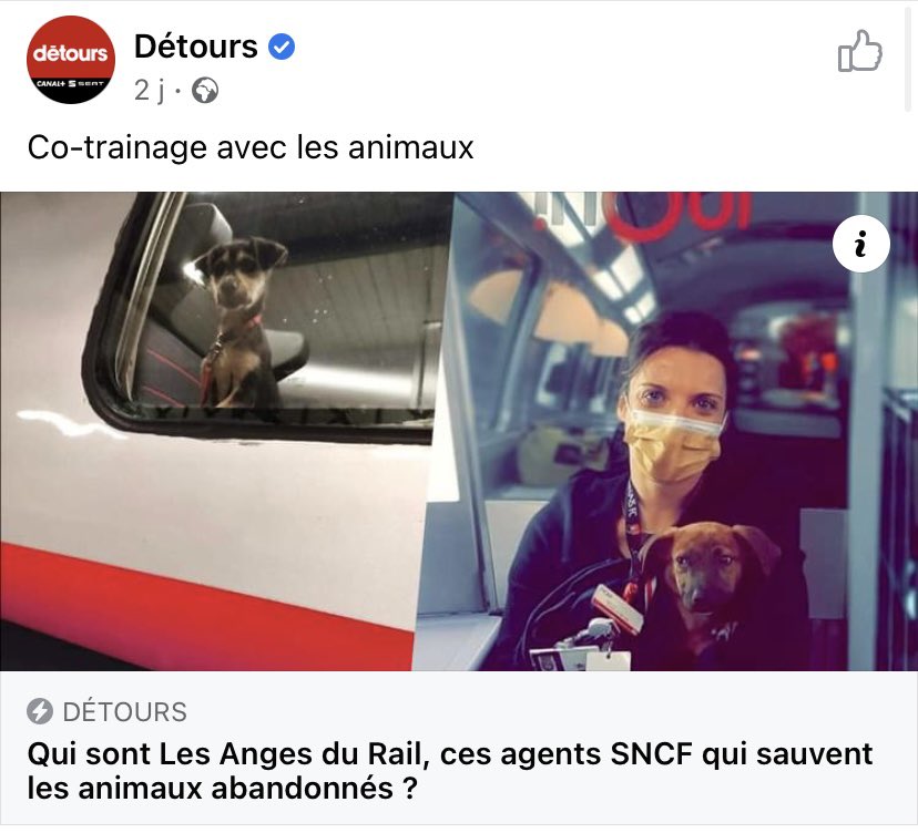 Association Les Anges du Rail tweet media