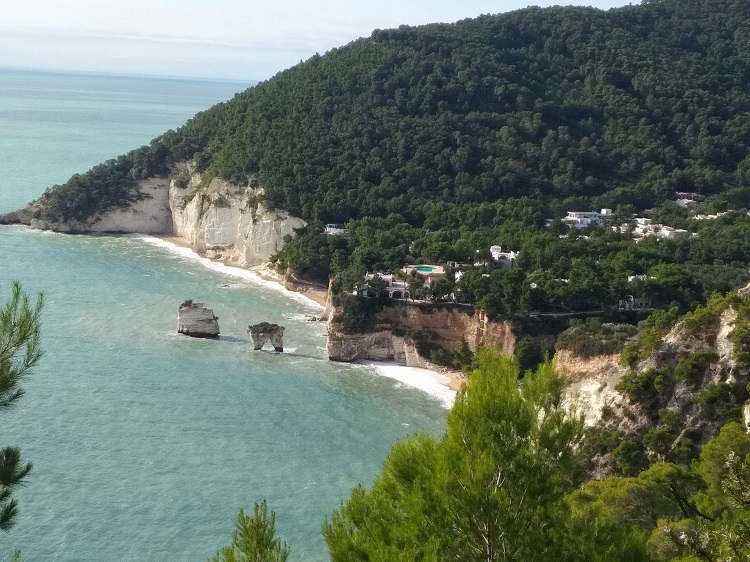 SonoitaliaInfo's tweet photo. #Apulien: Im #Parco del #Gargano gibt es eine atemberaubende #Wanderung auf dem #Sentiero #Natura, die den #Strand von #Vignanotica mit der #Bucht #Baia delle #Zagare verbindet. 👉https://t.co/3Zm0xdFKNm @WeareinGargano @WeAreInPuglia @garganolab2_0 @ParcoGargano @CiaoNico https://t.co/nzSQWyQdyb