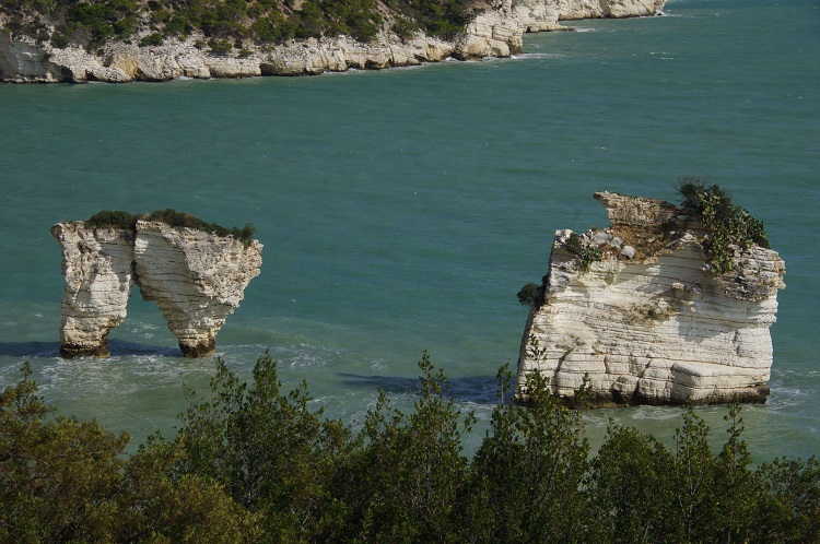 SonoitaliaInfo's tweet photo. #Apulien: Im #Parco del #Gargano gibt es eine atemberaubende #Wanderung auf dem #Sentiero #Natura, die den #Strand von #Vignanotica mit der #Bucht #Baia delle #Zagare verbindet. 👉https://t.co/3Zm0xdFKNm @WeareinGargano @WeAreInPuglia @garganolab2_0 @ParcoGargano @CiaoNico https://t.co/nzSQWyQdyb