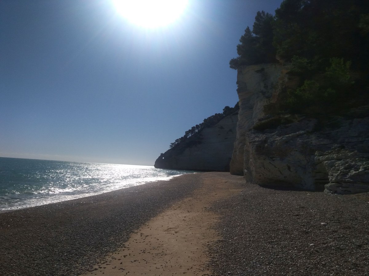 SonoitaliaInfo's tweet photo. #Apulien: Im #Parco del #Gargano gibt es eine atemberaubende #Wanderung auf dem #Sentiero #Natura, die den #Strand von #Vignanotica mit der #Bucht #Baia delle #Zagare verbindet. 👉https://t.co/3Zm0xdFKNm @WeareinGargano @WeAreInPuglia @garganolab2_0 @ParcoGargano @CiaoNico https://t.co/nzSQWyQdyb
