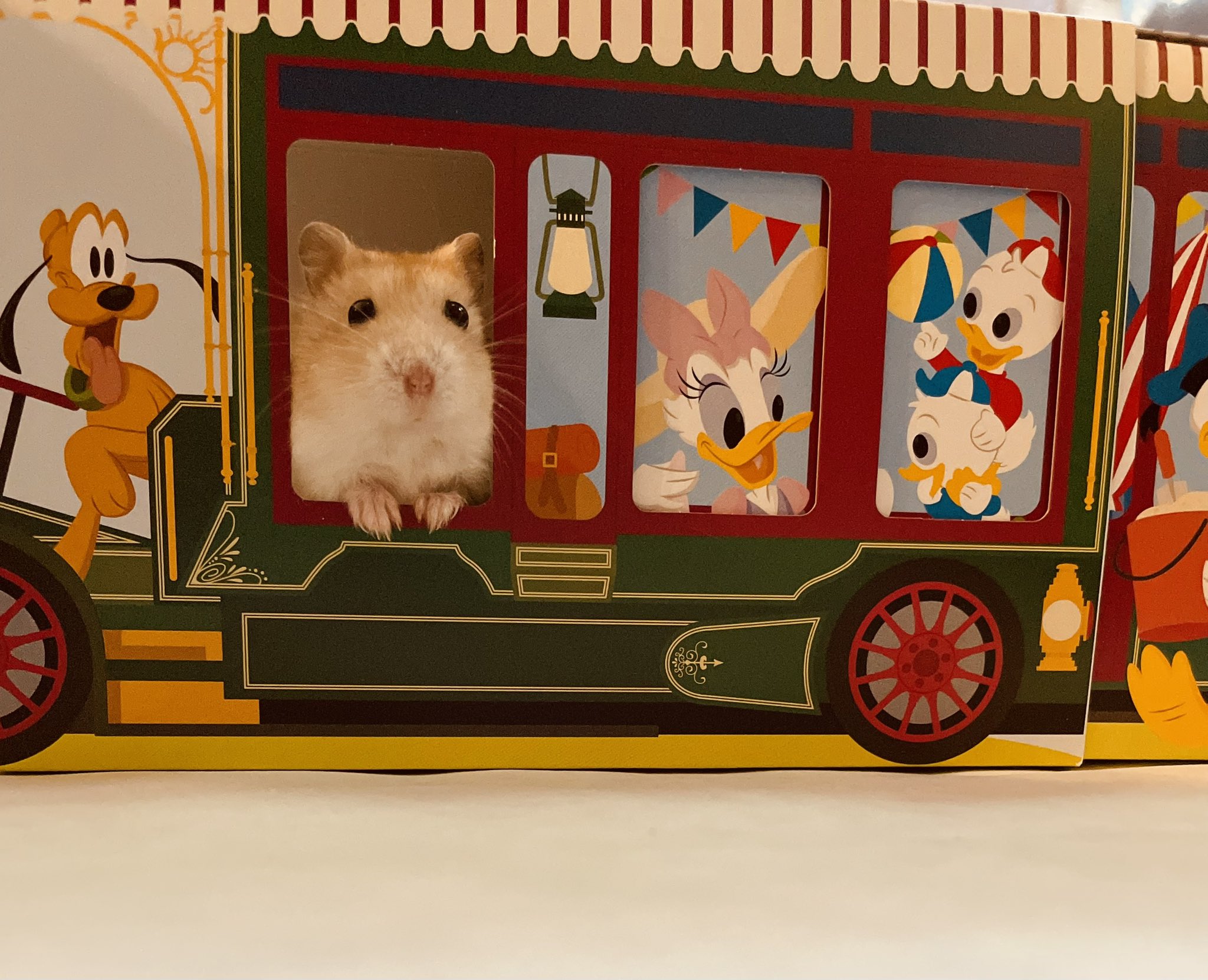 はむ はむ ディズニーキャラクターの仲間入り ハムスター ディズニー T Co Whb6olsszu Twitter