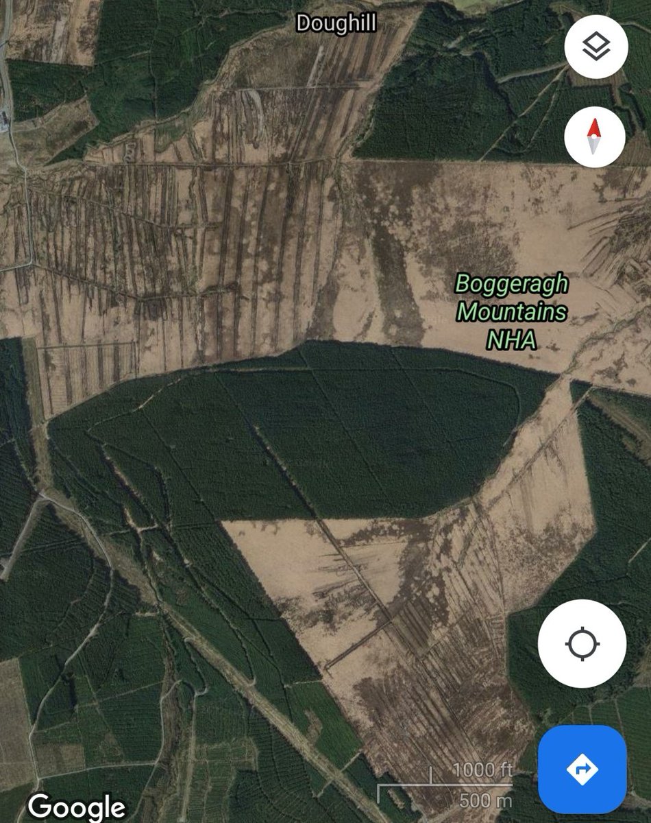 Ó Foghlú tweet media