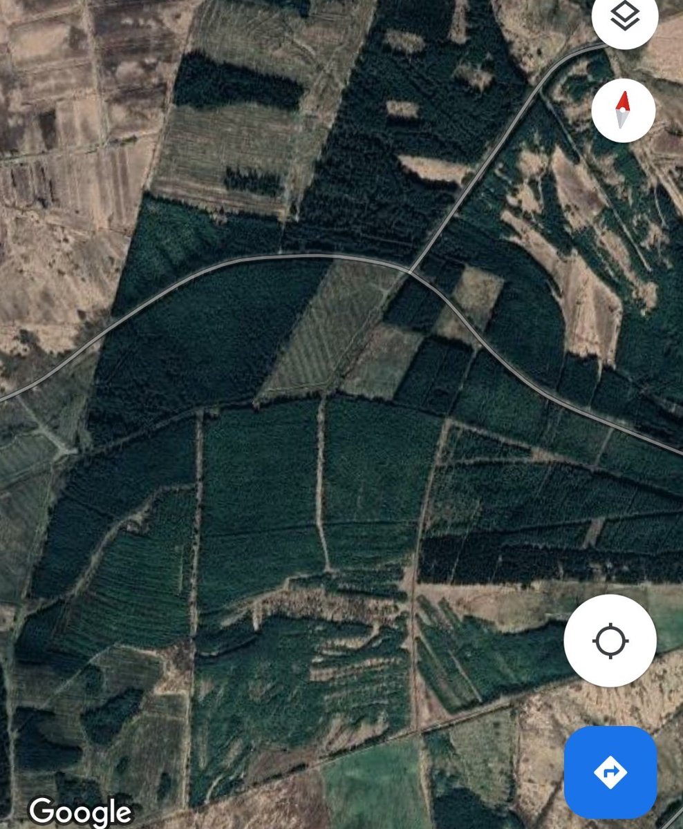 Ó Foghlú tweet media