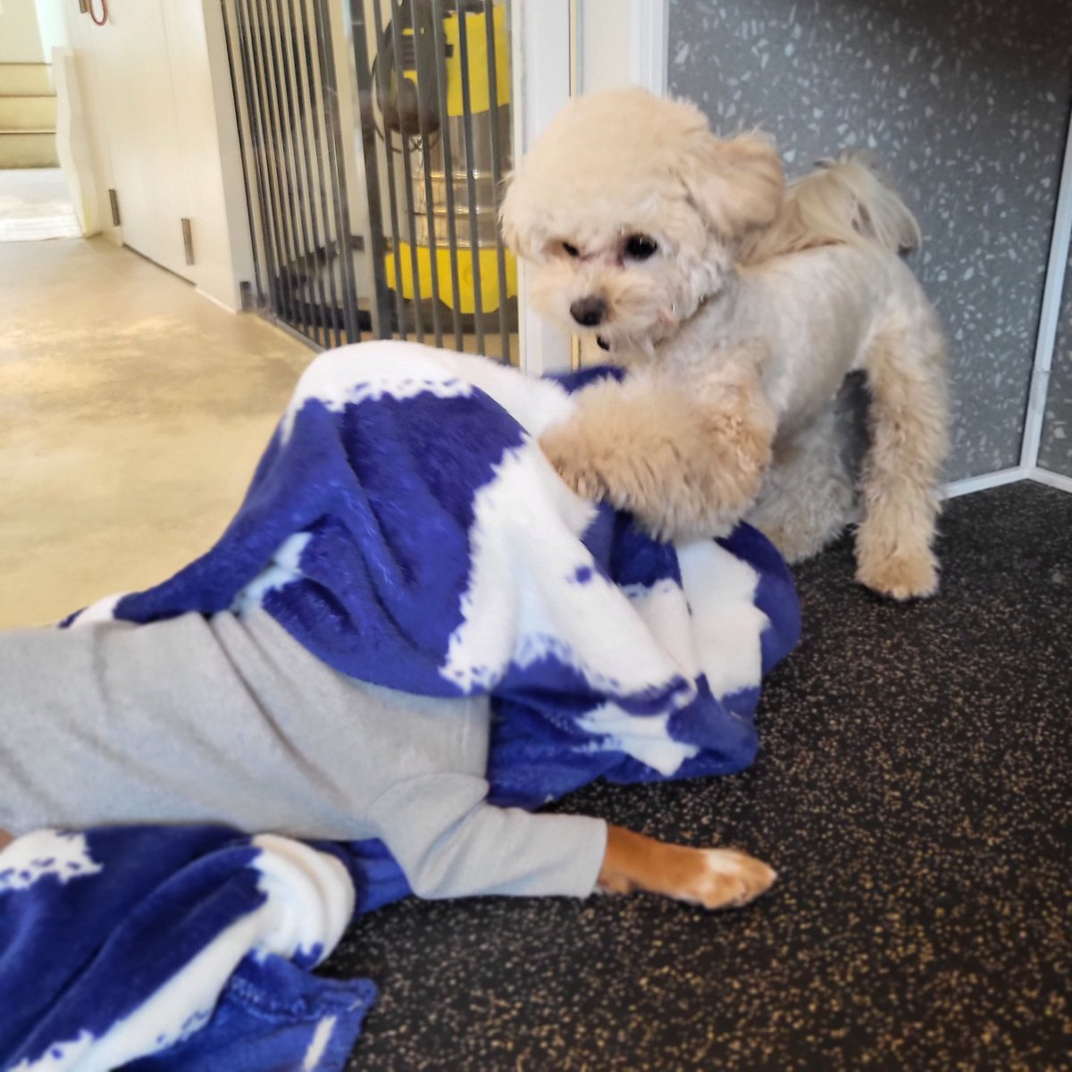 our_dsunny's tweet photo. 덕선아 너가 졌다 https://t.co/SFK6cgTll3