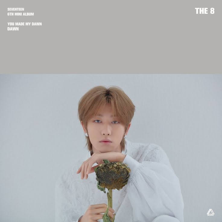 севентин группа 2022. севентин 7 мини альбом. Seventeen home обложка. Seventeen the8 wishlist. You made my dawn.