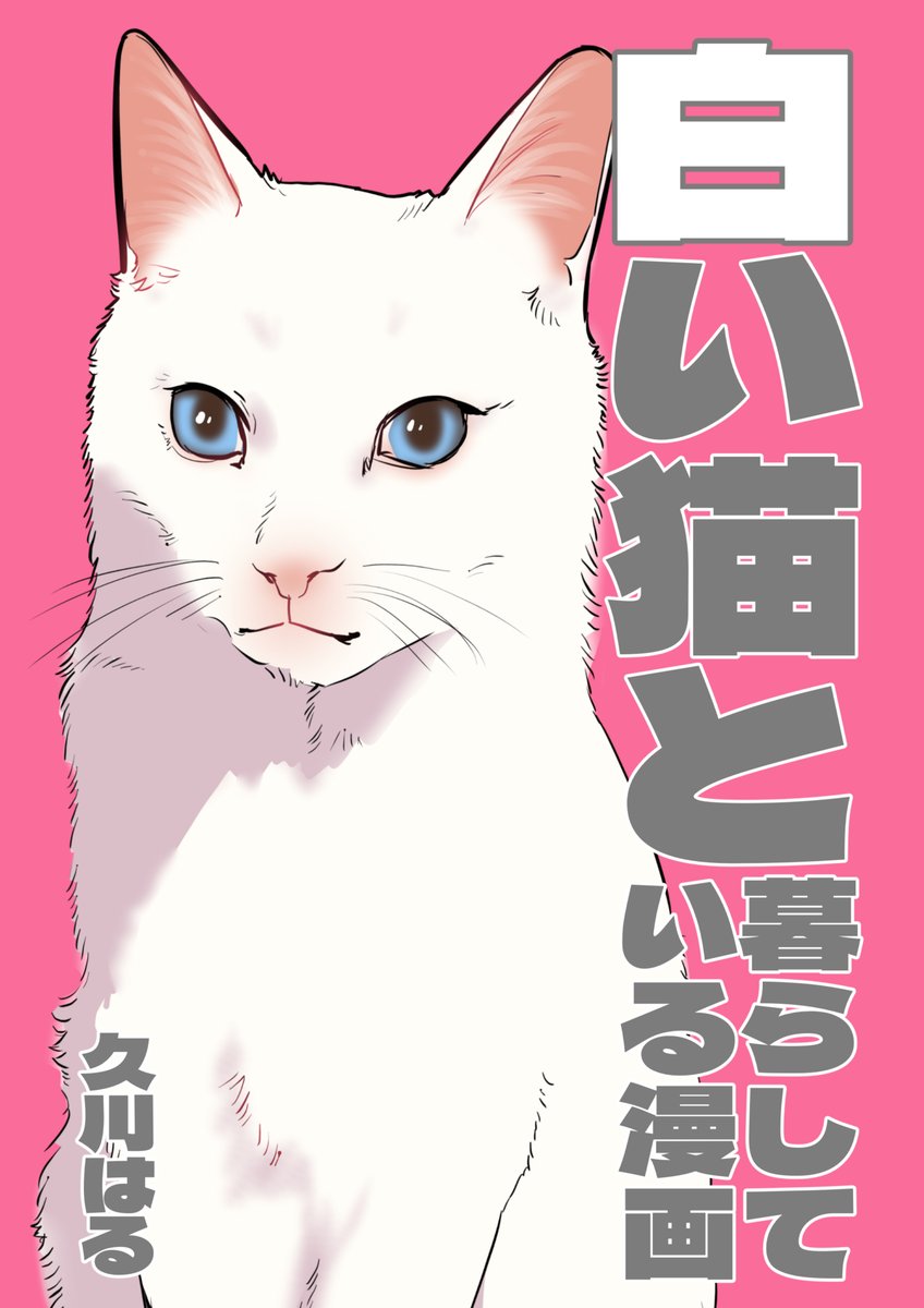 2/20コミティア新刊サンプルです!

【東5き24a】

「白い猫と暮らしている漫画」
A5/30P/本文表紙フルカラー
800円

ツイッター公開分エッセイ4本
+
【書き下ろし】
①コミックエッセイ1本
②買ったけどミコが遊んでくれなかった猫グッズ特集コラム4本

お待ちしてます! 