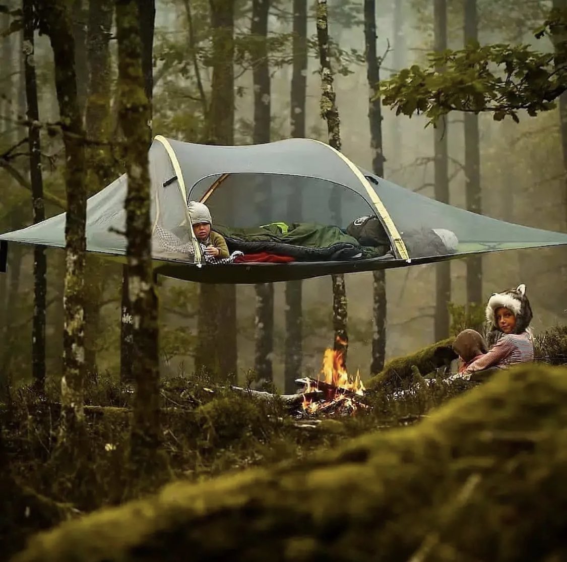 alexxf3's tweet image. 