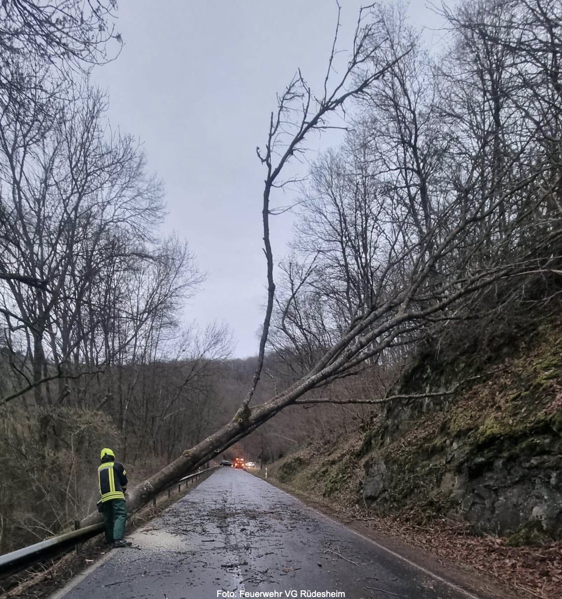 Nahe-News die Internetzeitung tweet media
