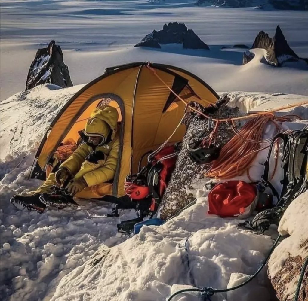 alexxf3's tweet image. 