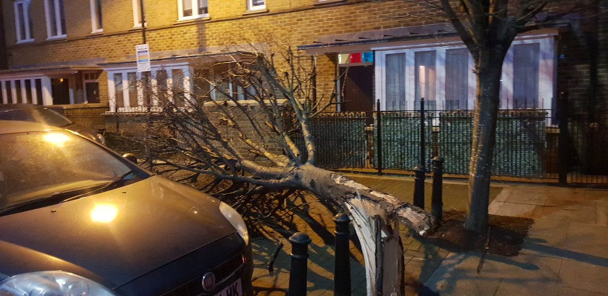 teejworld_'s tweet photo. Tree narrowly misses house and car falling inbetween the the two. In Bow East London. https://t.co/2KophRmHgh