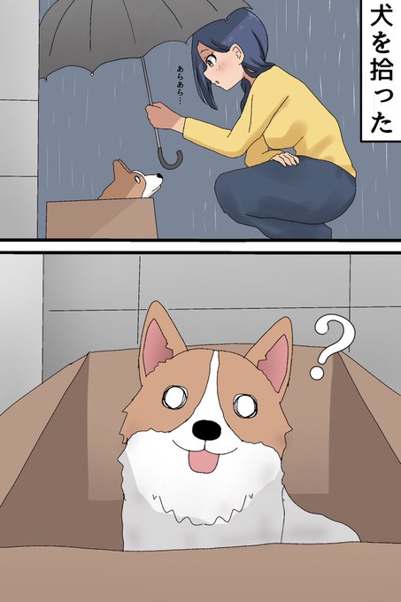 犬を拾った話。。 